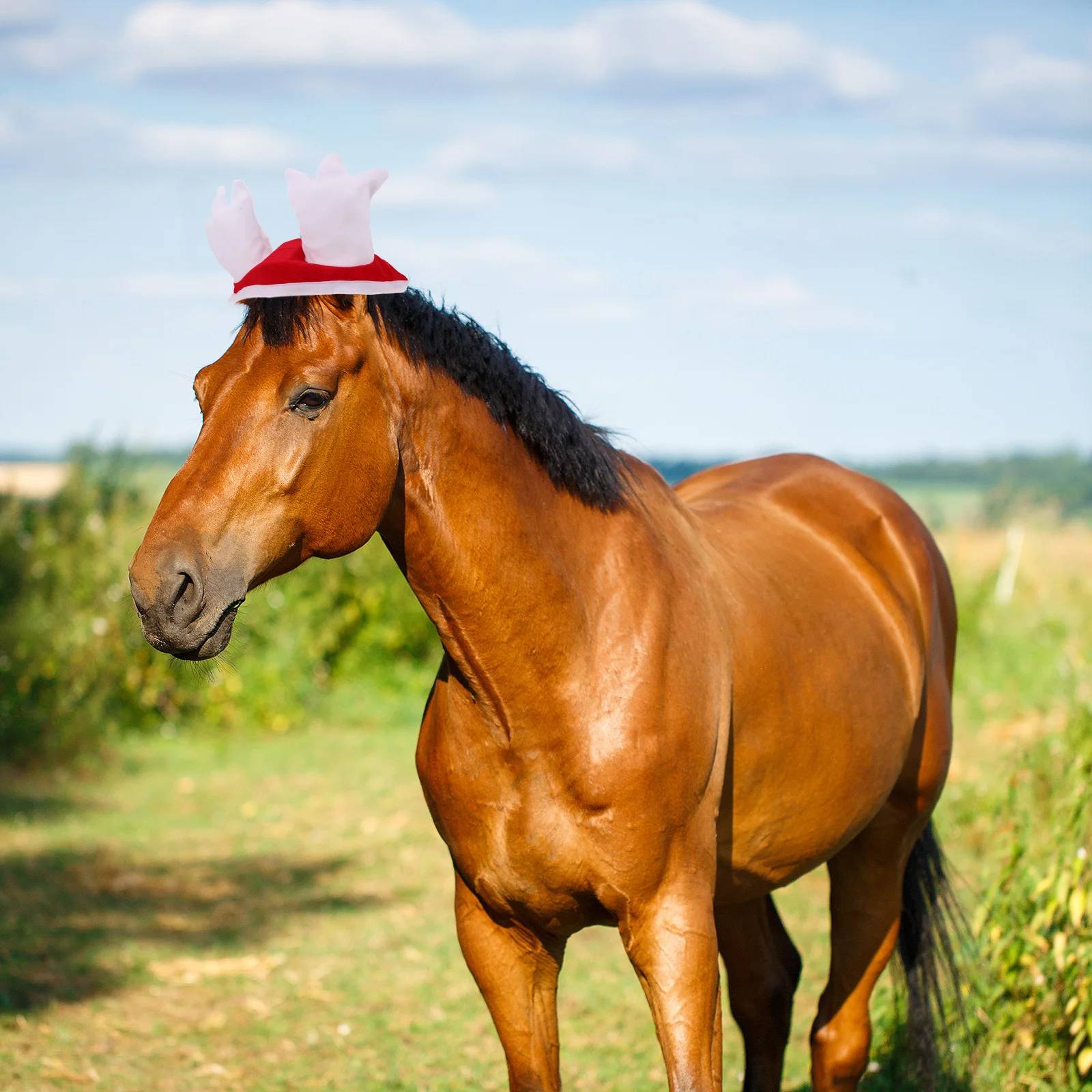 

Horse Decoration Set Christmas Costumes Leg Wraps Horses Holiday Hat Bonnet Velvet Accessory