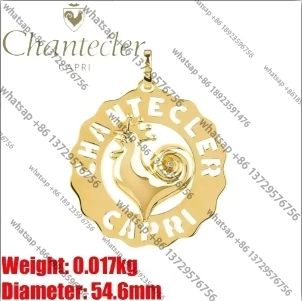 

"Affordable Luxury Pendant: Trendy Yet Elegant, Perfect Gift Idea"