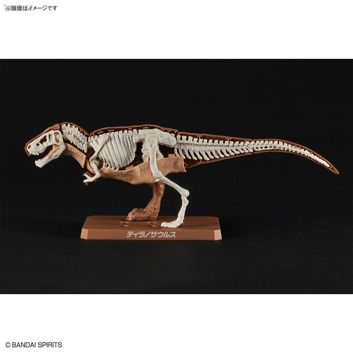 Bandai เดิมประกอบที่ครอบคลุมรุ่น Series Plannosaurus Tyrannosaurus Rex เล็งที่ของเล่นเด็กสะสมเครื่องประดับ