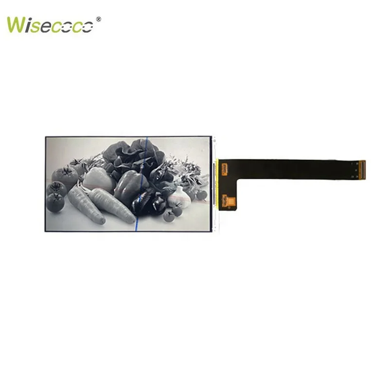 5.5 Inch 1080*1900 Monochrome LCD Without Backlight X-ray Machine Armarium 5.5 Inch Mono LCD Display 3D Printer Display