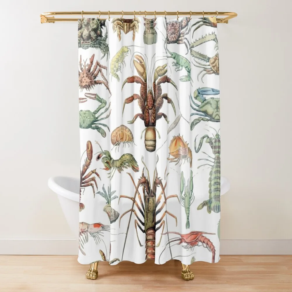 

Adolphe Millot Crustaces Crustacean Lobster Crab Shower Curtain Cute Shower Anime Bathroom Modern Accessory Bathrooms Curtain