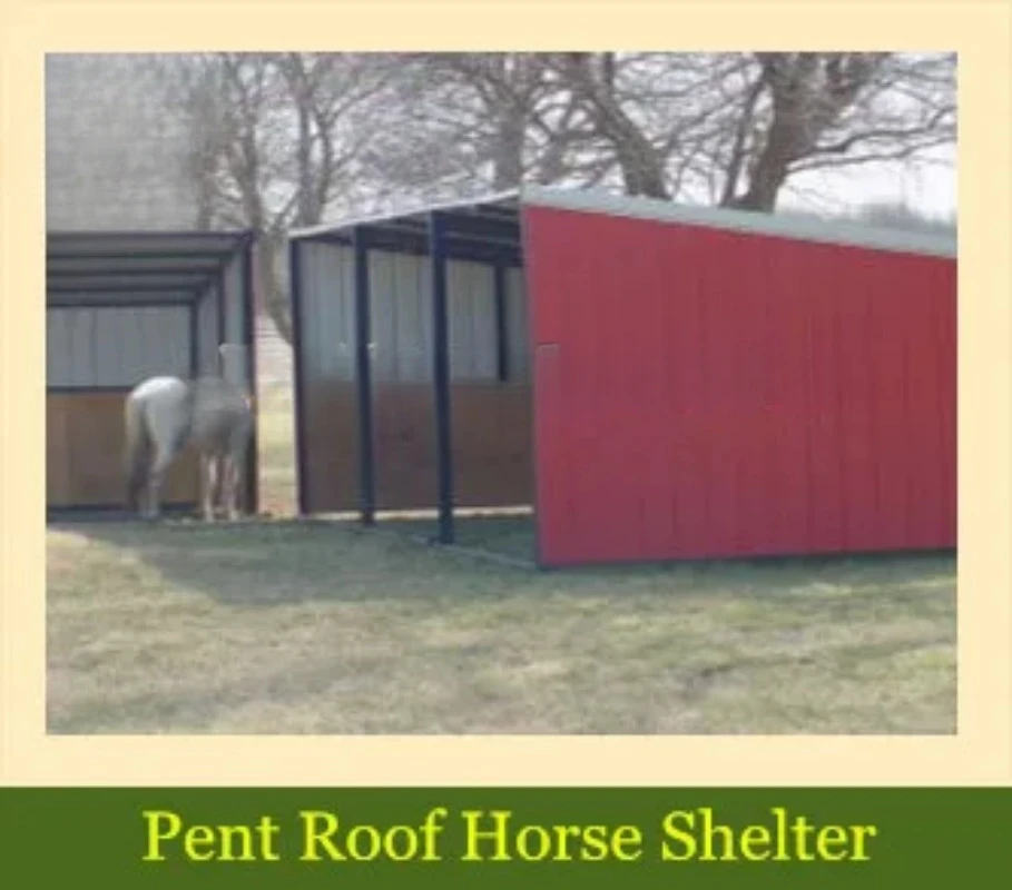 High Quality and Professional Horse Shelter Horse Barn Horse Stable