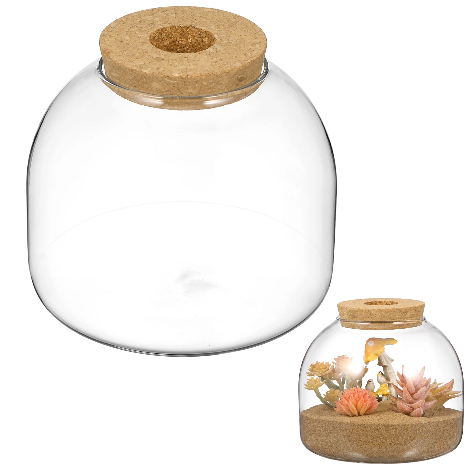 

Glass Terrarium Jar Wood Stopper Micro Landscape Container for Hydroponic Plants Small Ecosystem Decor Living Room Office