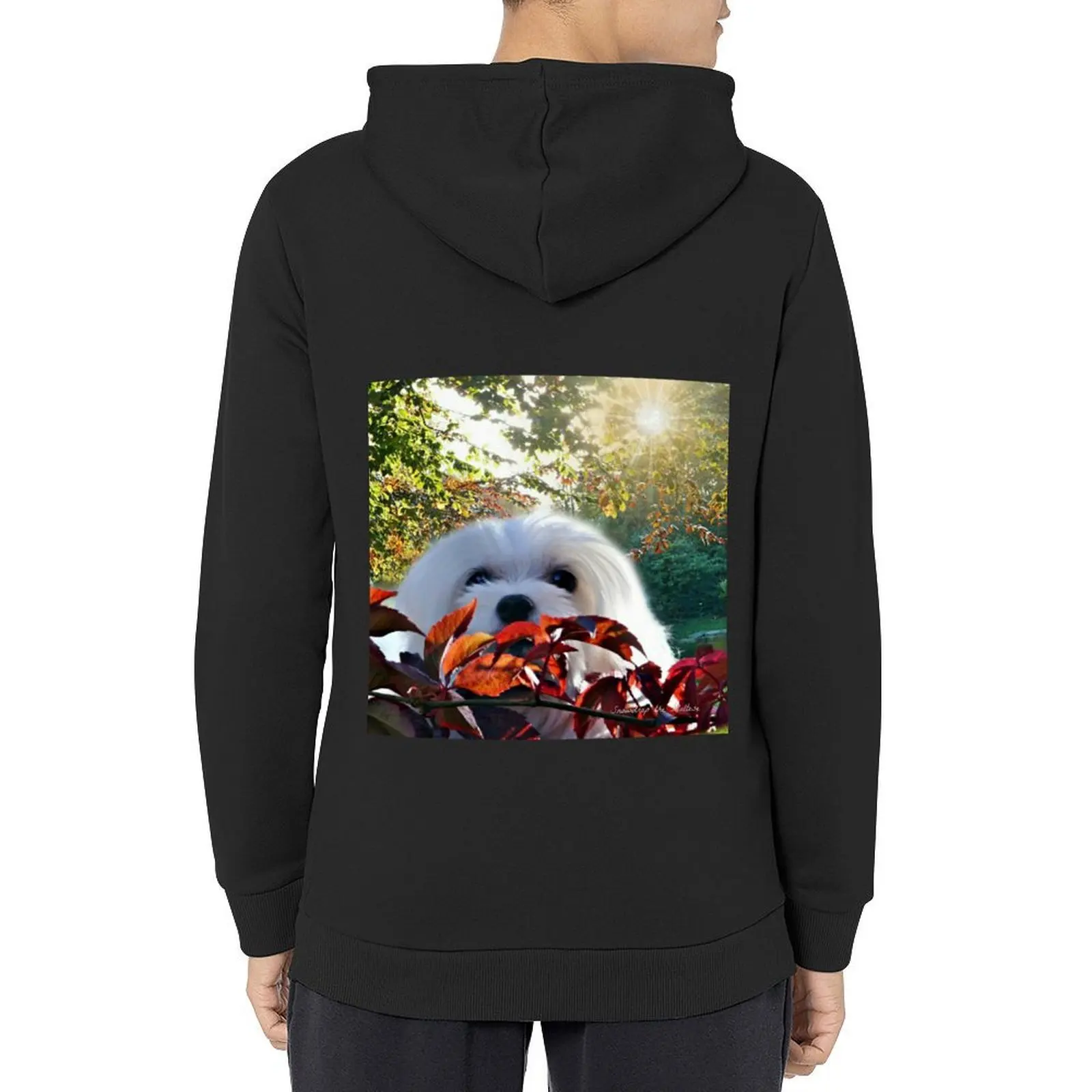 

Snowdrop the Maltese - Autumn Light Hoodie mens clothes anime clothing men's clothing graphic hoodie