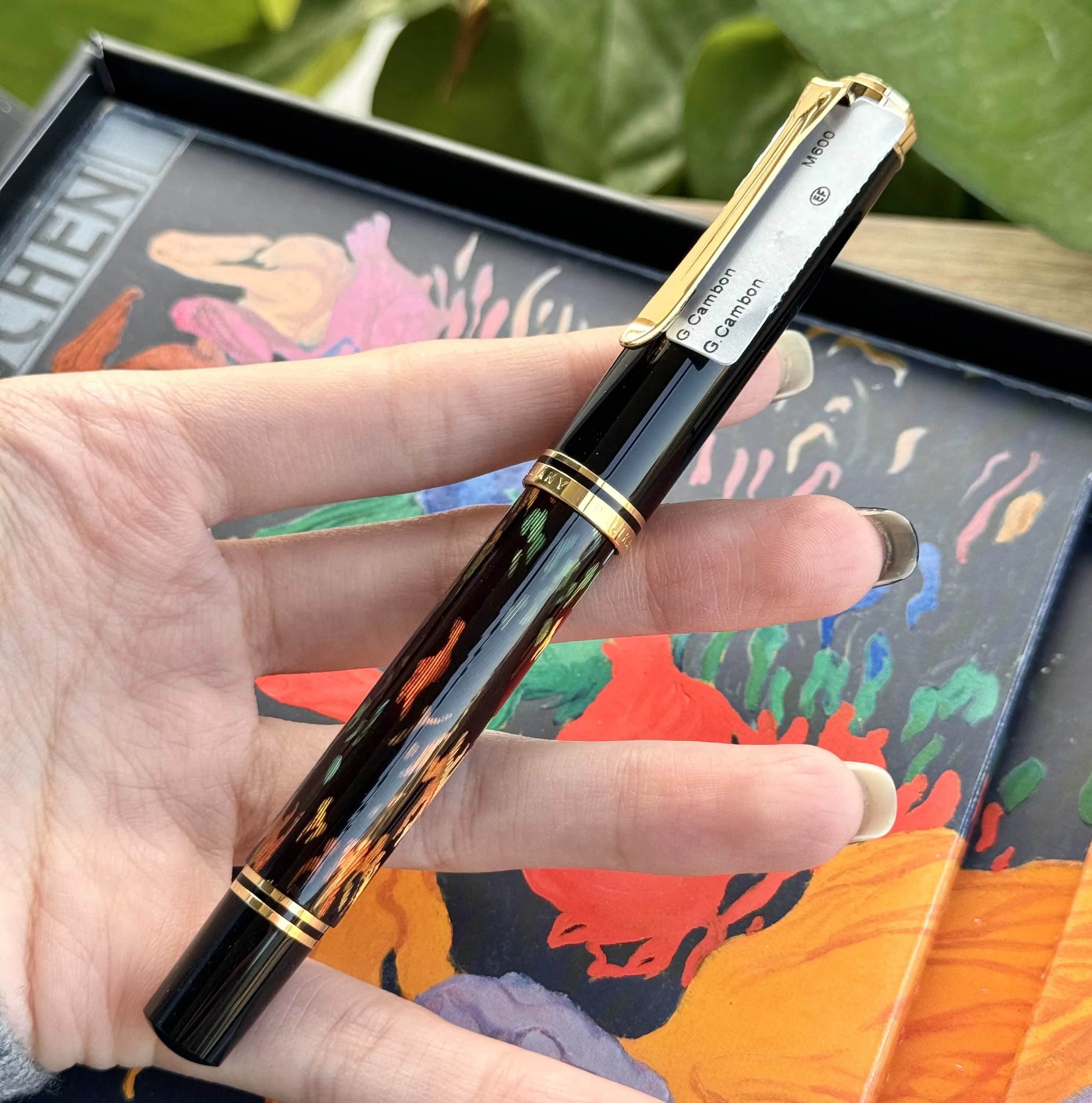 German Original Pelikan M600 Resin Fountain Pen 14K Gold Nib Art Collection Llimited Edition Gift Box Writing Pen