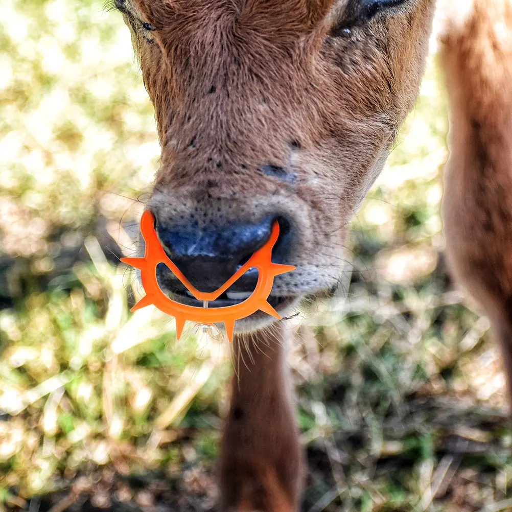 

12pcs Calf Weaning Tool Nose Clip For Cattle Farm Supplies Portable Cow Weaner Ring Equipment Durable Thick Clamps Smooth