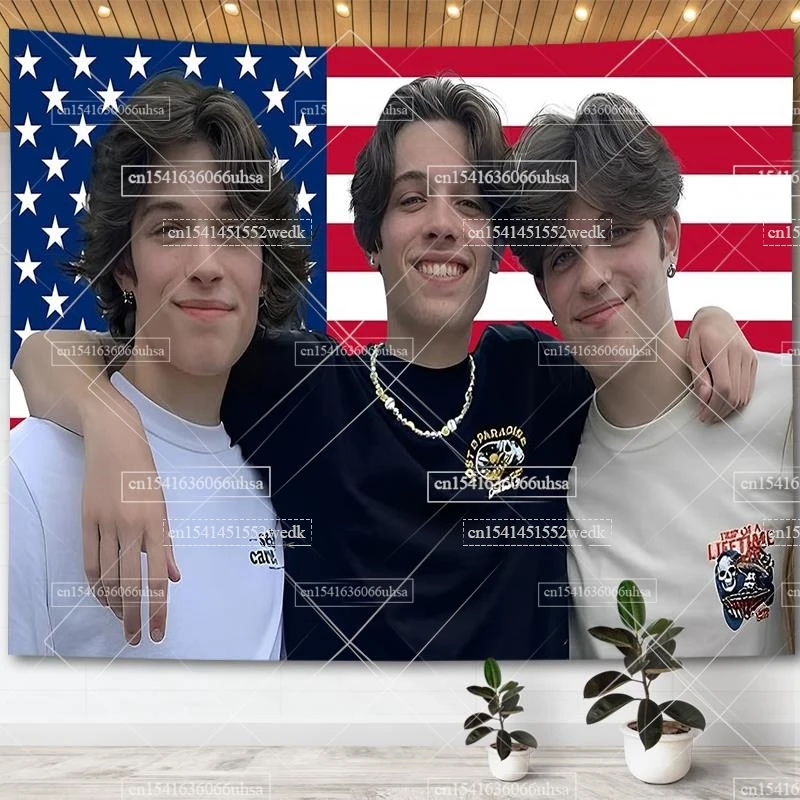 Sturniolo Triplets American Flag Wall Hanging Tapestry Funny Merch Meme Tapestries Room Decor Aesthetic Dorm Party Backdrops