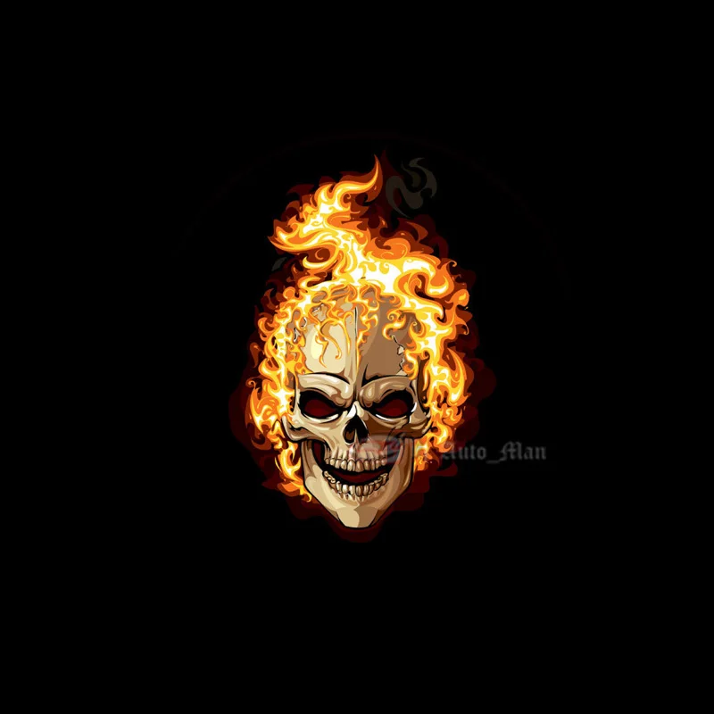 2pcs Wired Flaming Skull Ghost Rider LED Laser Projection Logo Car Door Welcome Light Step Courtesy Ghost Shadow Puddle