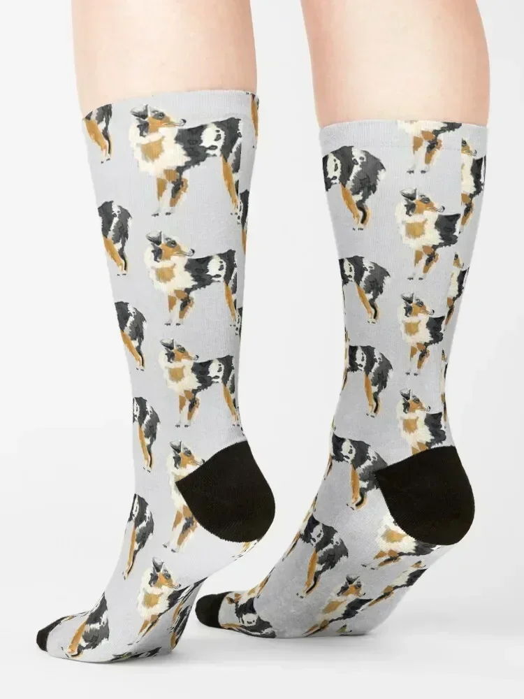Australian Shepherd Illustration Socks designer brand Children's soccer anti-slip New year's Man Socks Women's