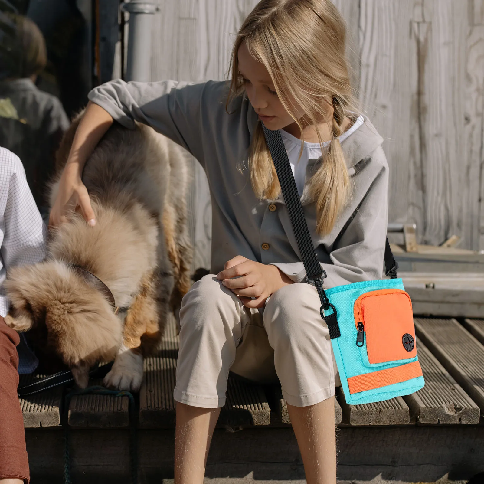 

Pet Training Bag Adjustable Wear-Resistant Dog Treat Pouch For Outdoor Walking Running Puppy Training Supply Waist Treat