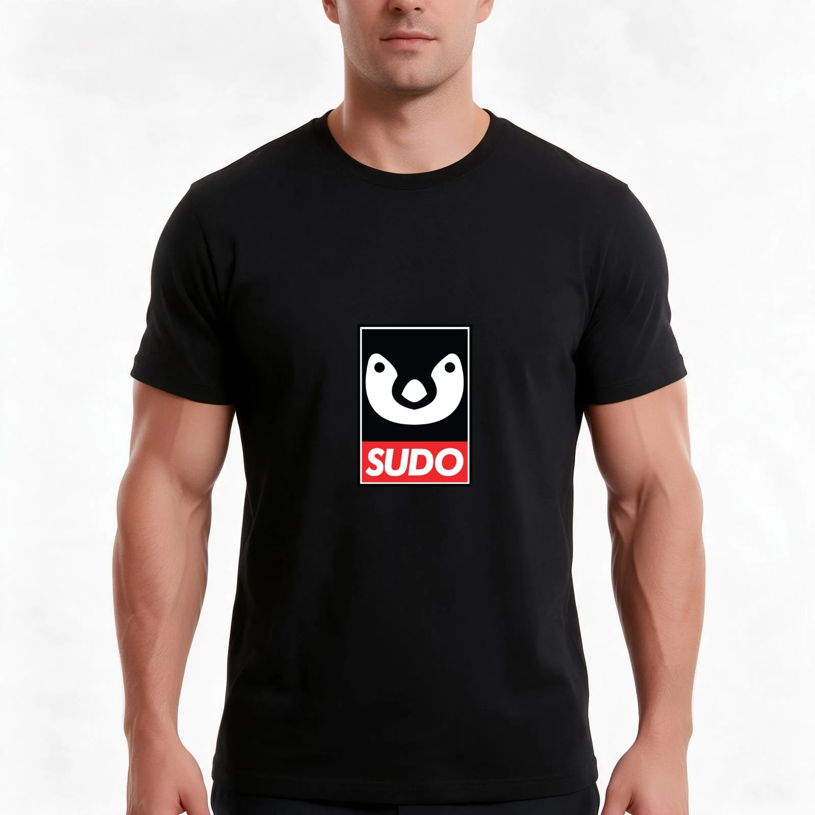 Linux Sudo T-Shirt, Summer Casual Cotton Tee, Oversized Streetwear Tops, Vintage Graphic Print, Loose Fit Short Sleeve
