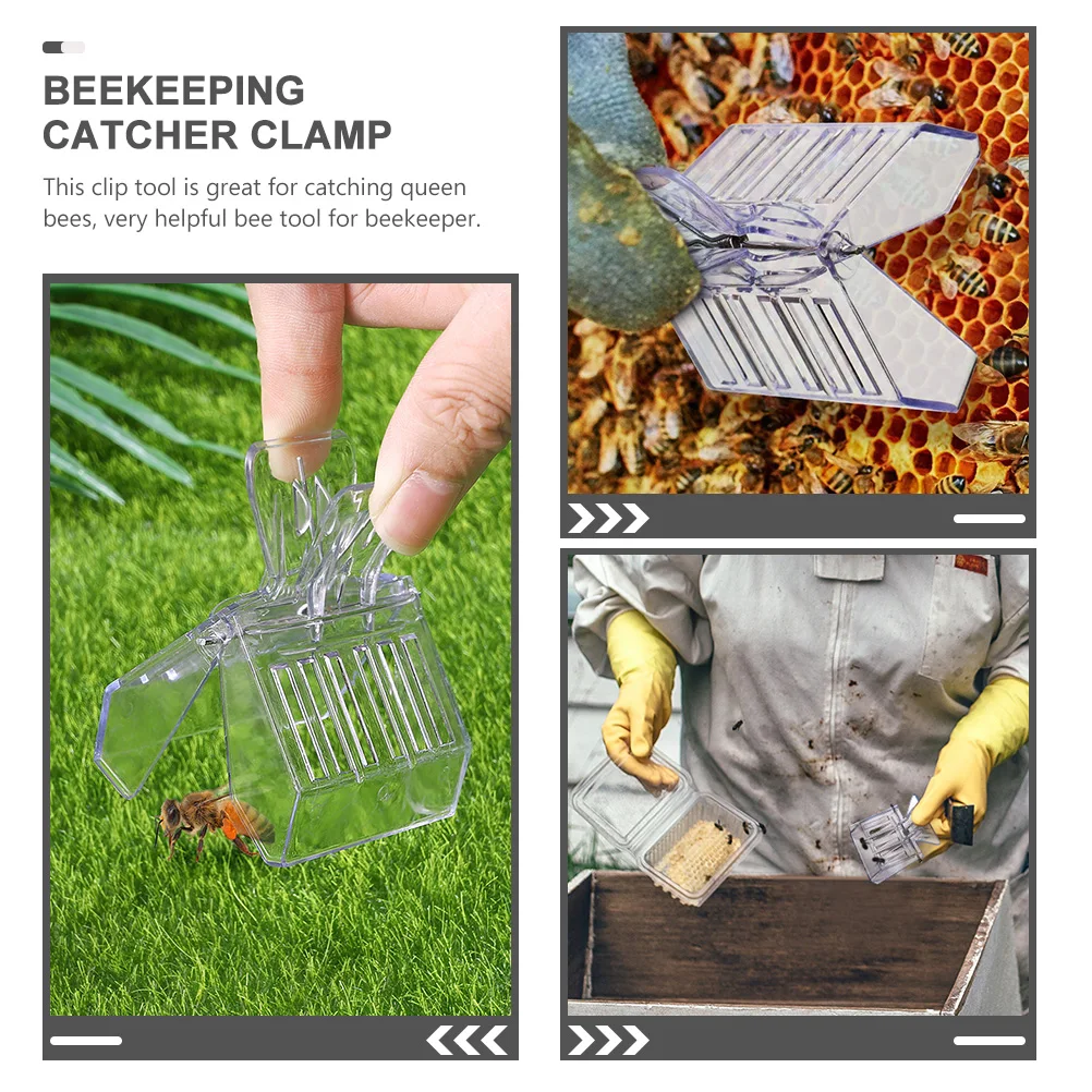 

4 Pcs Cage Plastic Clips Catcher Transparent Clamp Beekeeping Tools Supplies Lightweight Durable Portable Bee Catching