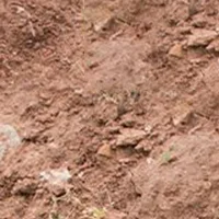 Durable Hoe for Digging Soil Agricultural Hoe Forging Weeding Hoe for Planting Vegetables and Flowers Household Outdoor Farming