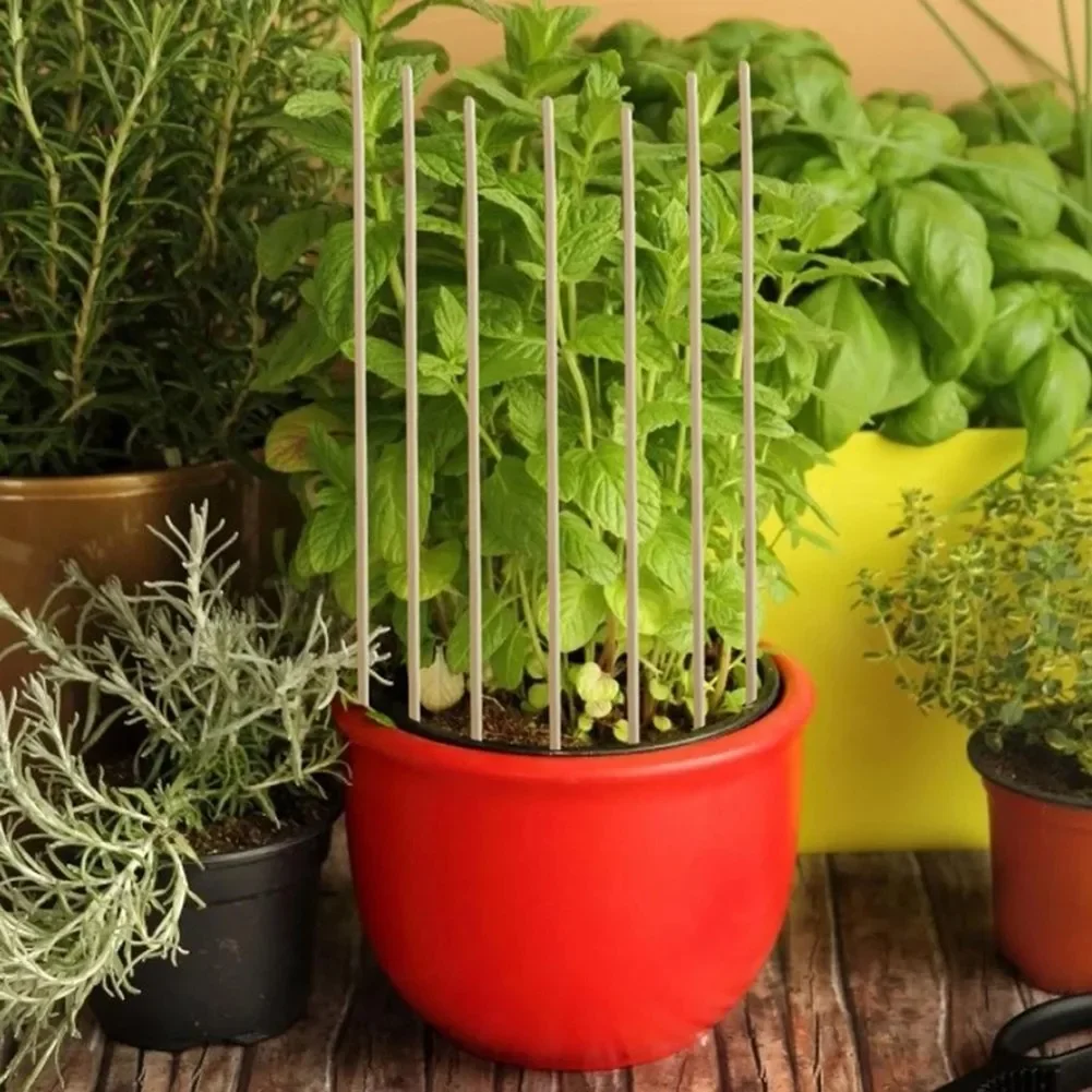 Elementos de soporte para plantas, palos de soporte para plantas, enrejados, juego de plantas, herramientas para tomates, accesorio de 25 piezas, piezas nuevas