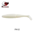 PA12