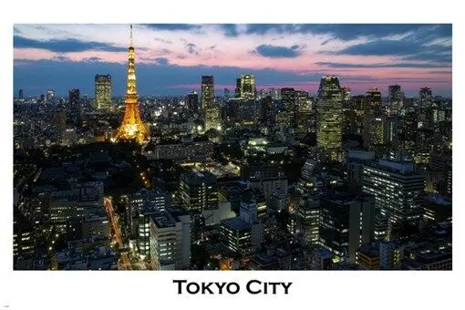 TOKYO cityscape VIOLET-PINK sky rare AWESOME new Art Picture Print Silk Poster Home Wall Decor