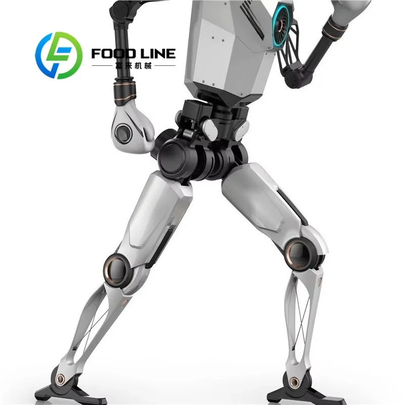 Brand Retail Humanoid Robot Stands At Store Entrances To Demonstrate New Merchandise And Draw Passerby Customer Attention