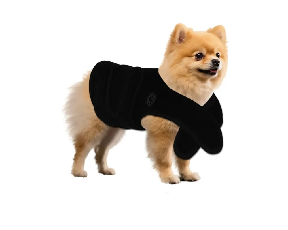 

Pet Arthritis Red Light Therapy Veterinary Instrument Infrared 660nm 850nm Led Light Therapy Pain Relief Animals Machine