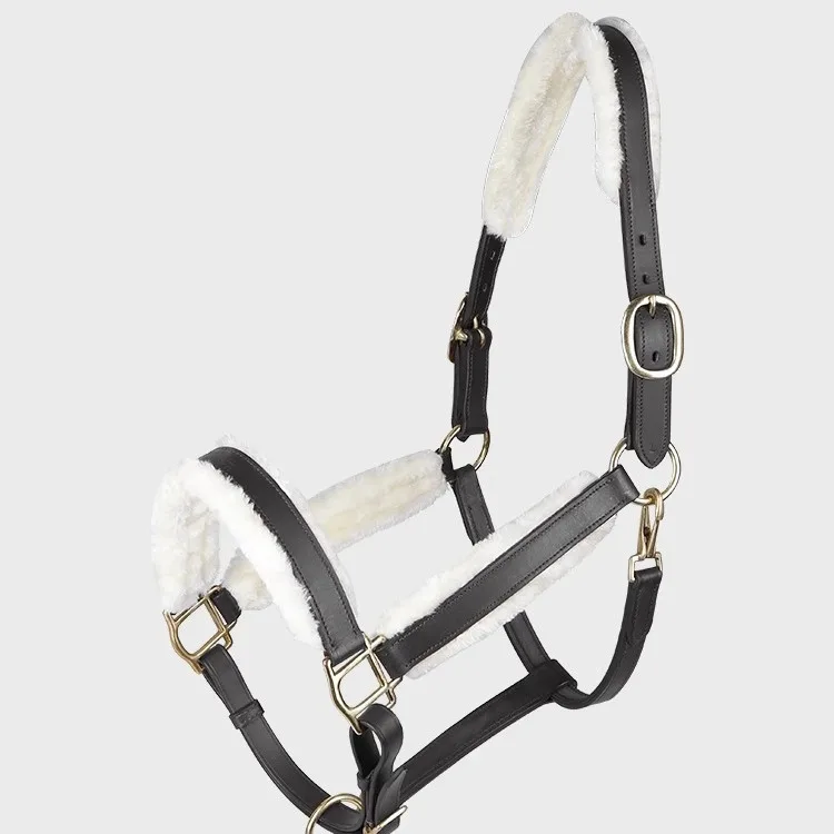 

Wholesale anti-wear cowhide bridle, harness, riding equipment, cross-border
