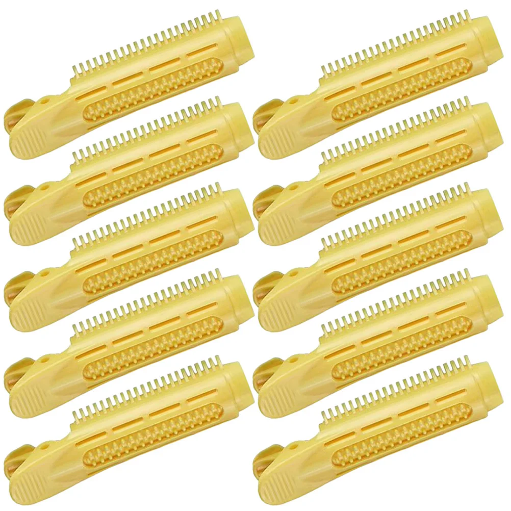 

10Pcs Hair Root Volumizing Clips Fast Styling Curl Clips Root Clip Hair Volume Lifting for Women Volumizing Clip
