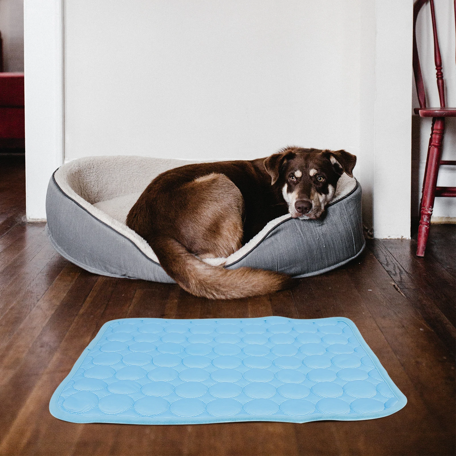 

Pet Ice Dog Cooling Pet Sleeping Mat Pad Blue Cloth Summer Outdoor Rug for Cats Dogs Foldable Durable Construction