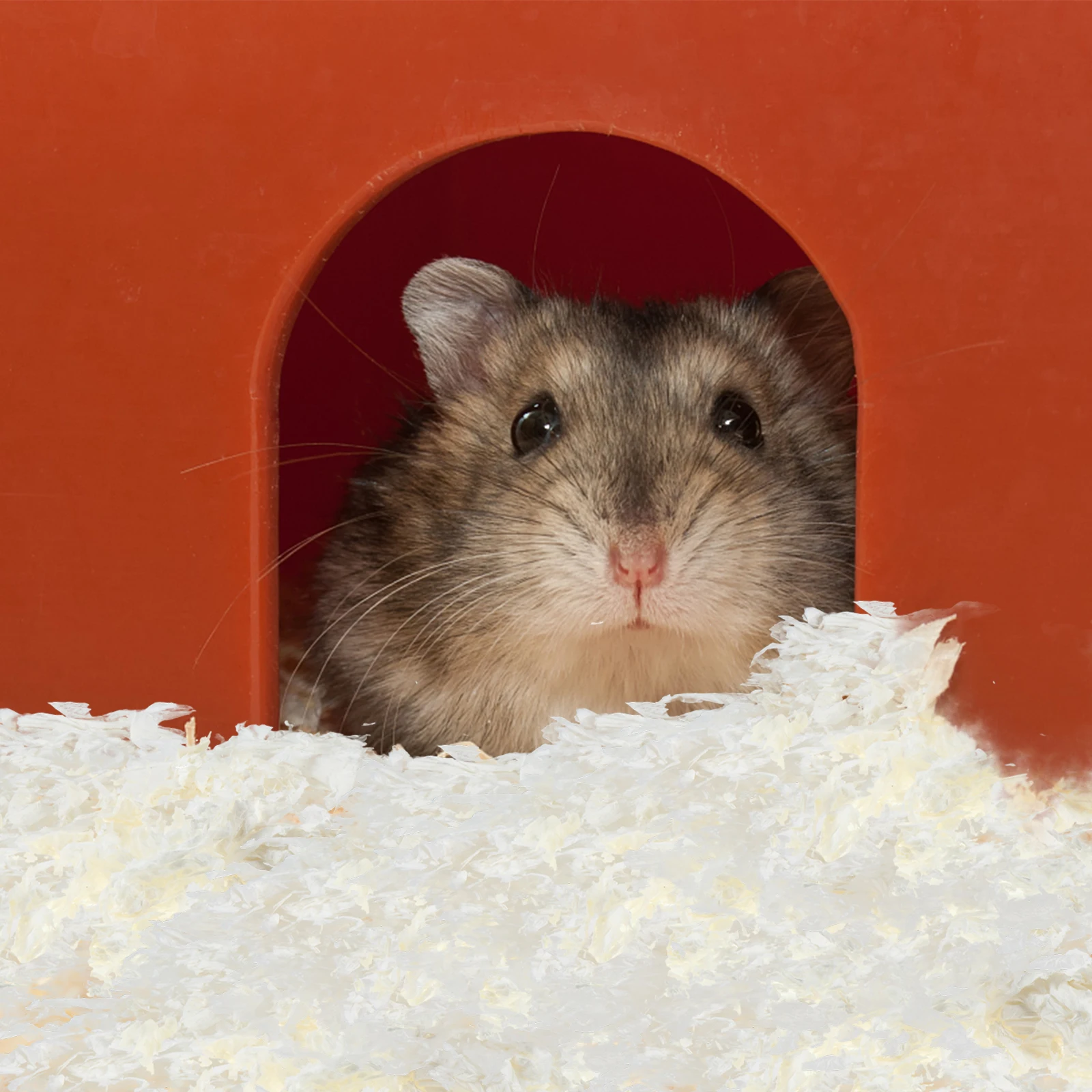 

1 Pack Pet Paper Bedding Absorbent Liners Natural Chips Deodorization Keep Warm for Small Pets Hamsters Rabbits