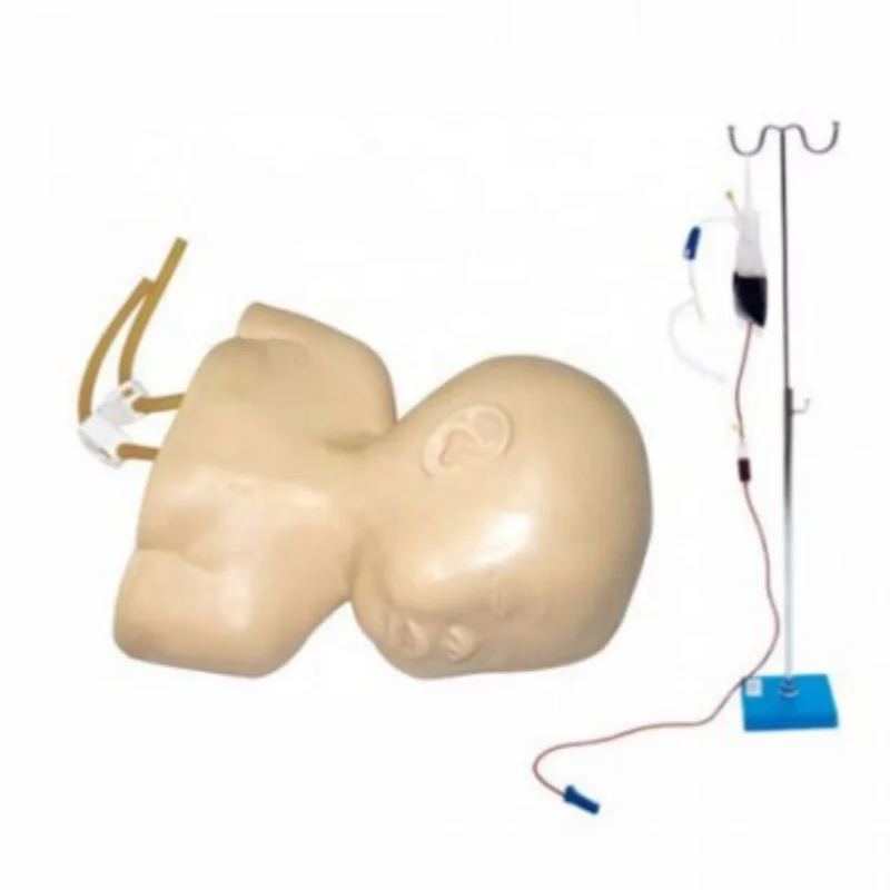 Advanced Infant Head Venipuncture Training Demonstration Model