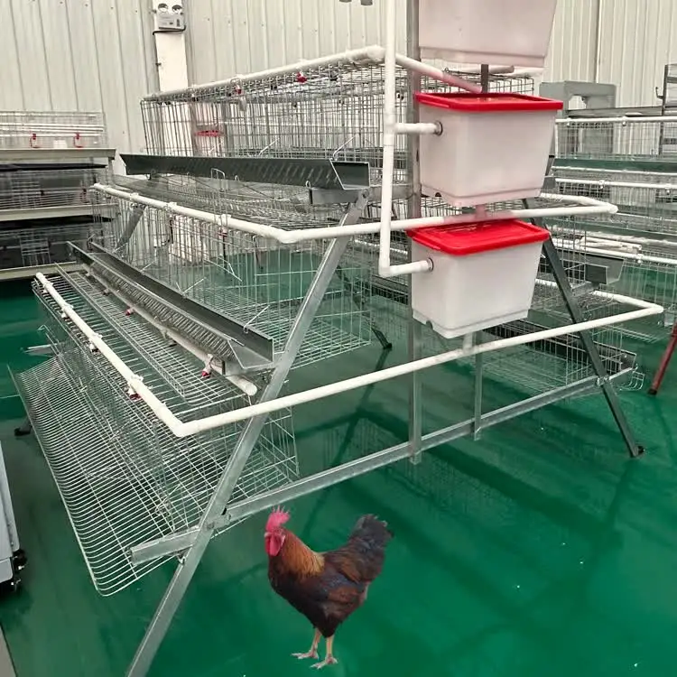 

Factory Price Poultry Layer Cage / Automatic Chicken Farm System