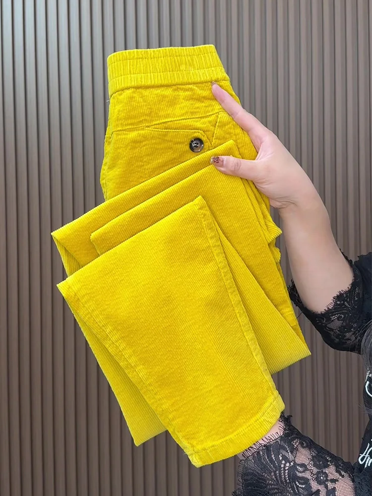 

Новинка осени 2024, бархатные брюки, повседневные женские свободные и тонкие брюки на маленьких ножках, модные и универсальные прямые брюки-харун