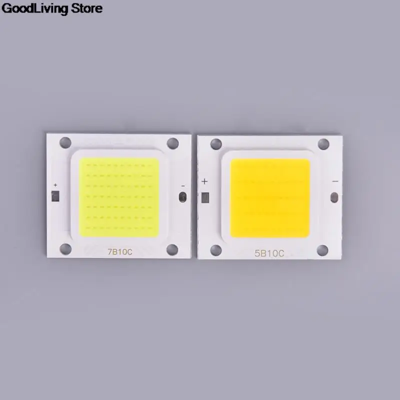 1PC Chip LED 20W 30W 50W 70W 100W lampa czip LED COB 220V światło halogenowe do reflektora światła źródła światła