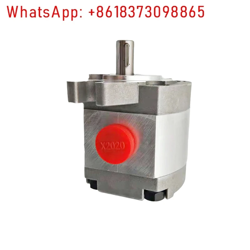 

P10 series gear pump P101RP01GT P109RP01GT Hydraulic gear booster oil pump P104RP01GT
