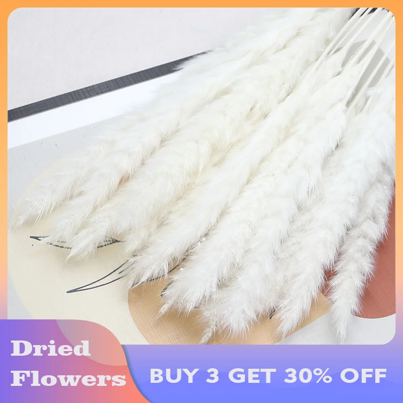 

(BUY 3 GET 30% OFF) Natural Fluffy Small Pampas Grass 15pcs for Wedding Christmas Decoration Dried Flowers Bouquet Home Decor