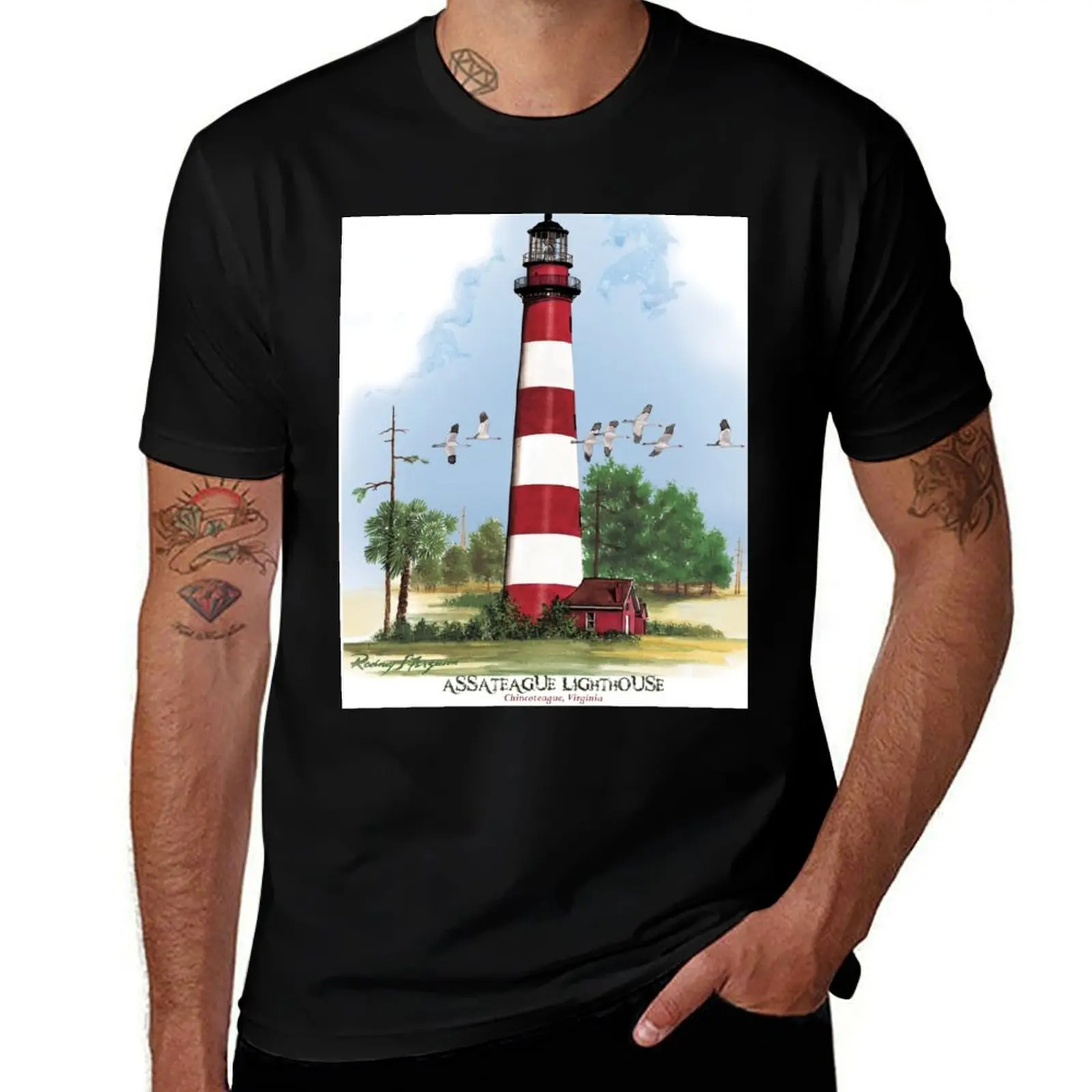 

Assateague Lighthouse and birds T-Shirt t shirt man designer t shirts for man graphic funny T-Shirt