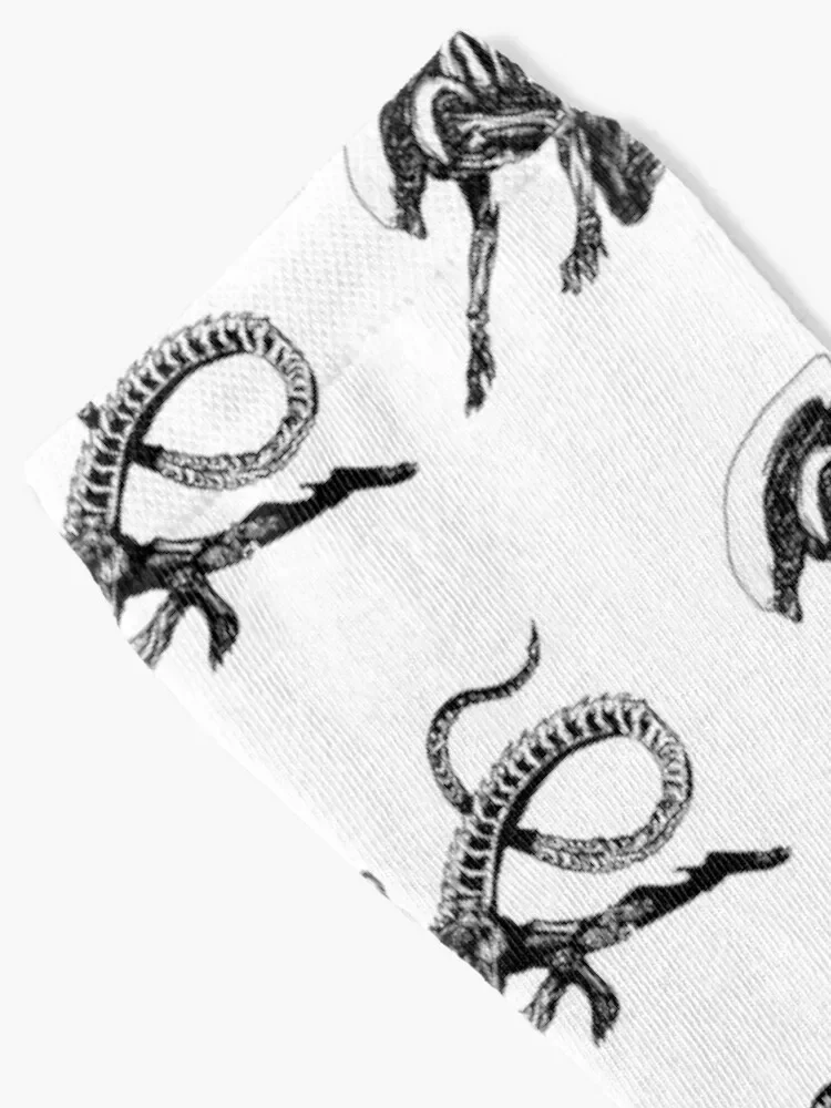 Xenomorph Alien Movie Socks summer gift anti-slip Women Socks Men's