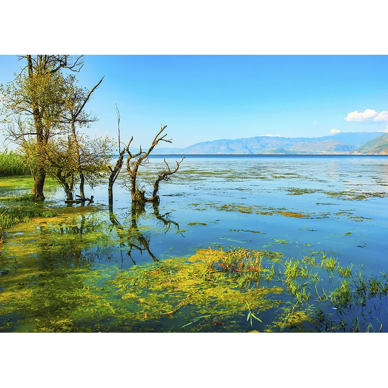 ZHISUXI Vinyl Custom Photography Backdrops Brick Wall and floor Scenery Theme Photo Studio Background 210116 WL-01