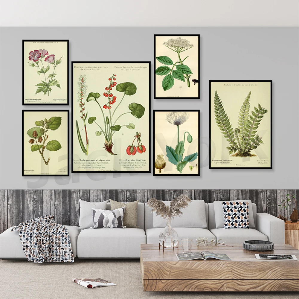 

Botanical Wall Art| Art Canvas| Poster Vintage| Flower Art| Kitchen Wall Art| Wall Poster| Art Prints