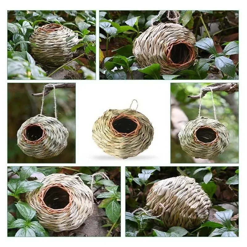 outdoor bird cage
