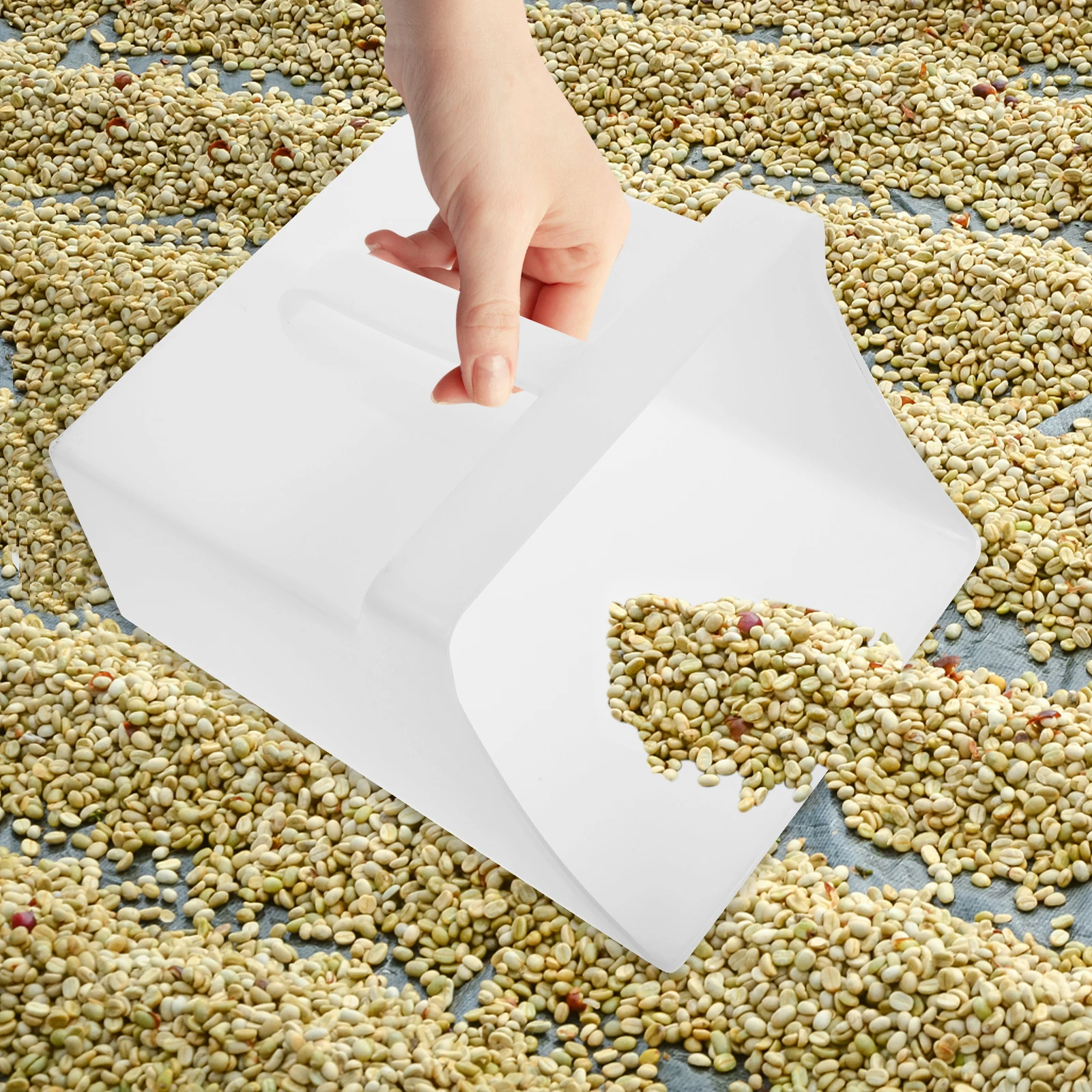 

Plastic Dustpan Reusable Shovel Small White Handle Trash Container Garbage Grains Sieve Household Cleaning Tool