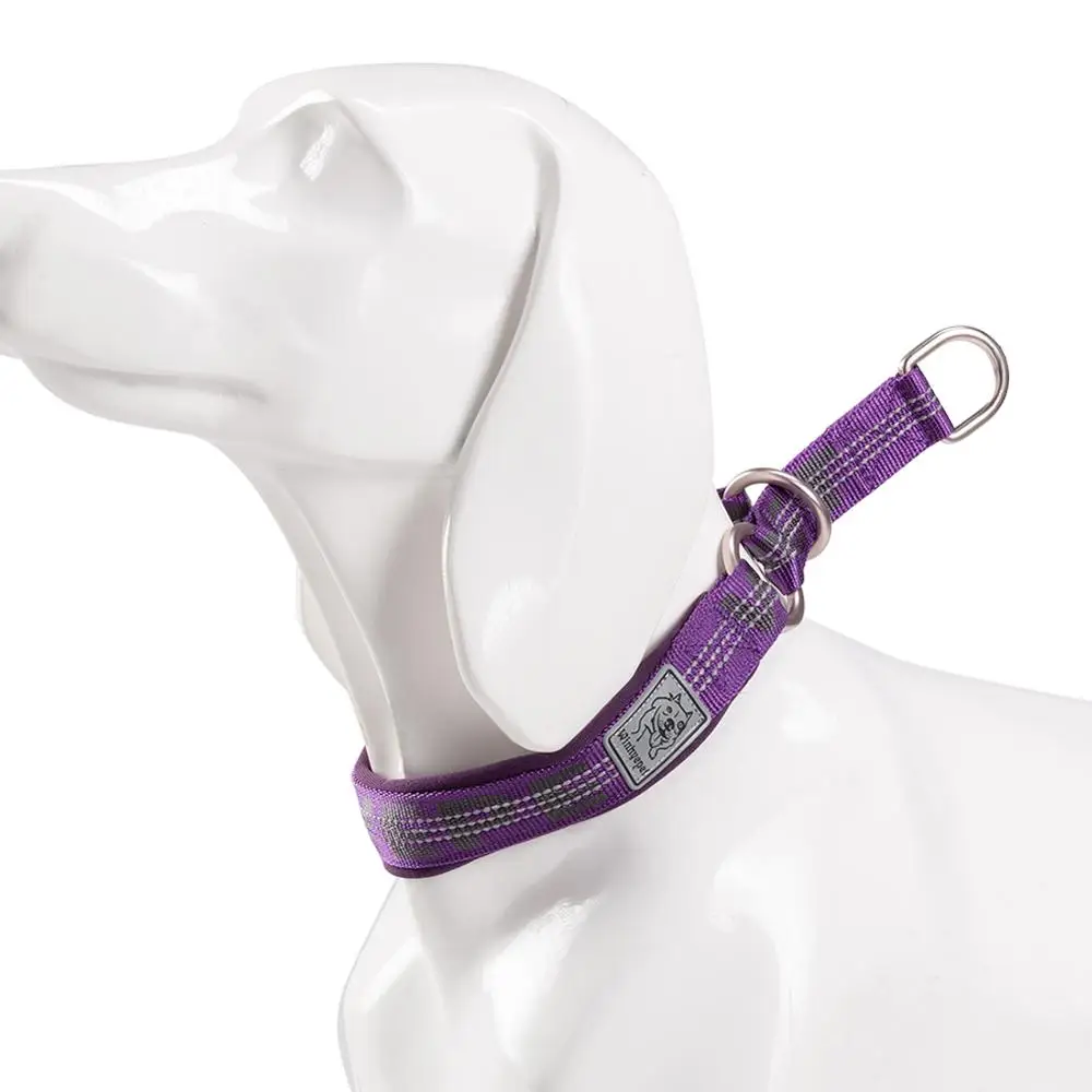 TRUELOVE P chain Pet Reflective Collar Nylon Best Neoprene Padded Half Choke Training  Lightweight Washable Sports YC1852