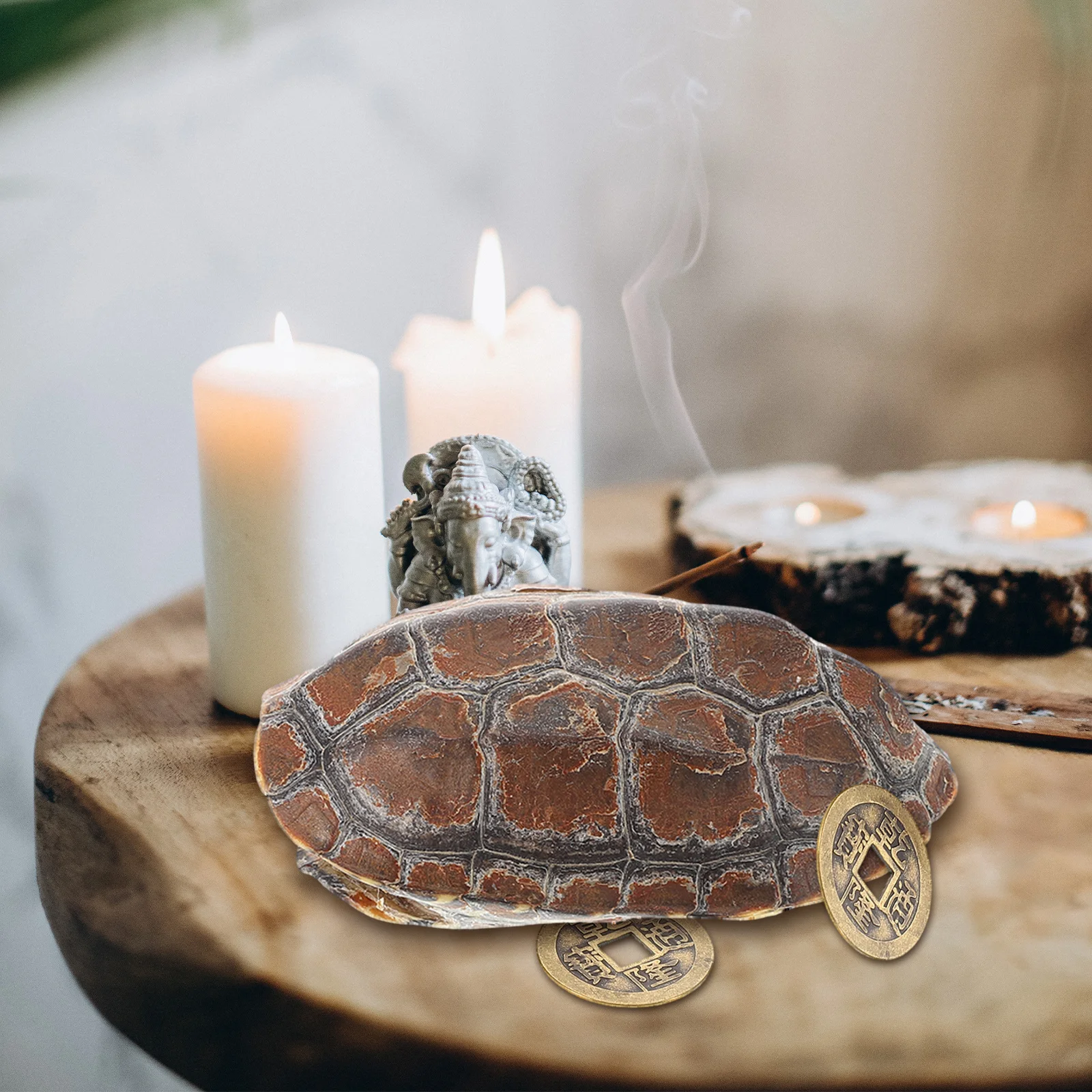 

1 set 1 Set Shell Turtle Shell Retro Chinese Telling Coin Craft For Home Office Decor Divination Game Prop Living Room