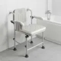 Stool W Arm Back