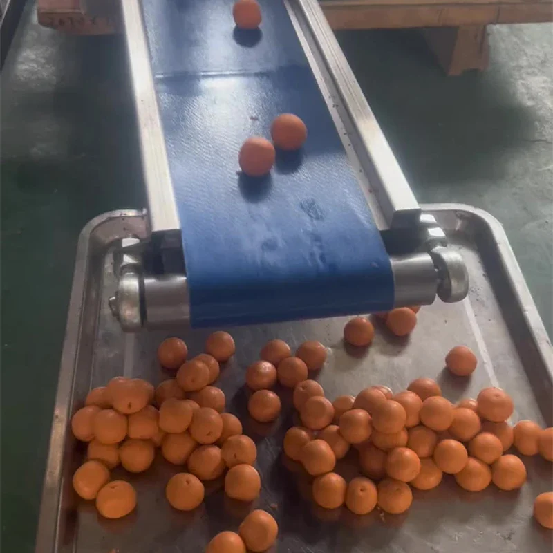 

Commercial glutinous rice ball rolling machine, fully automatic multifunctional sesame ball glutinous rice ball rolling machine