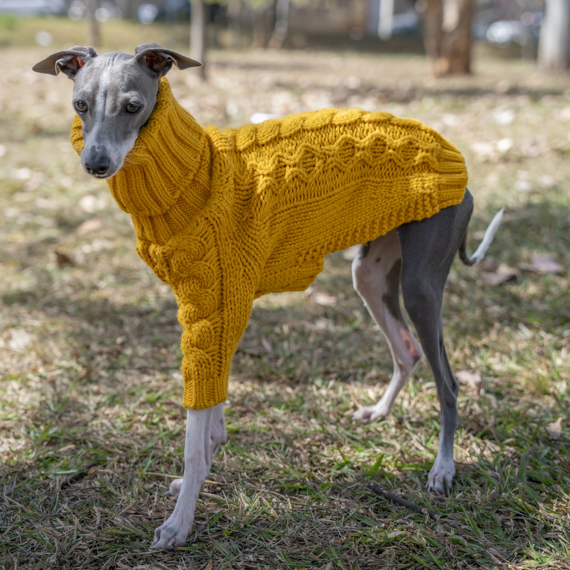 1Pc Hond Winter Verdikte Trui Gebreide Huisdier Coltrui Kleding Comfortabele Warme Hond Kleding Voor Grote Honden Bij Koud Weer