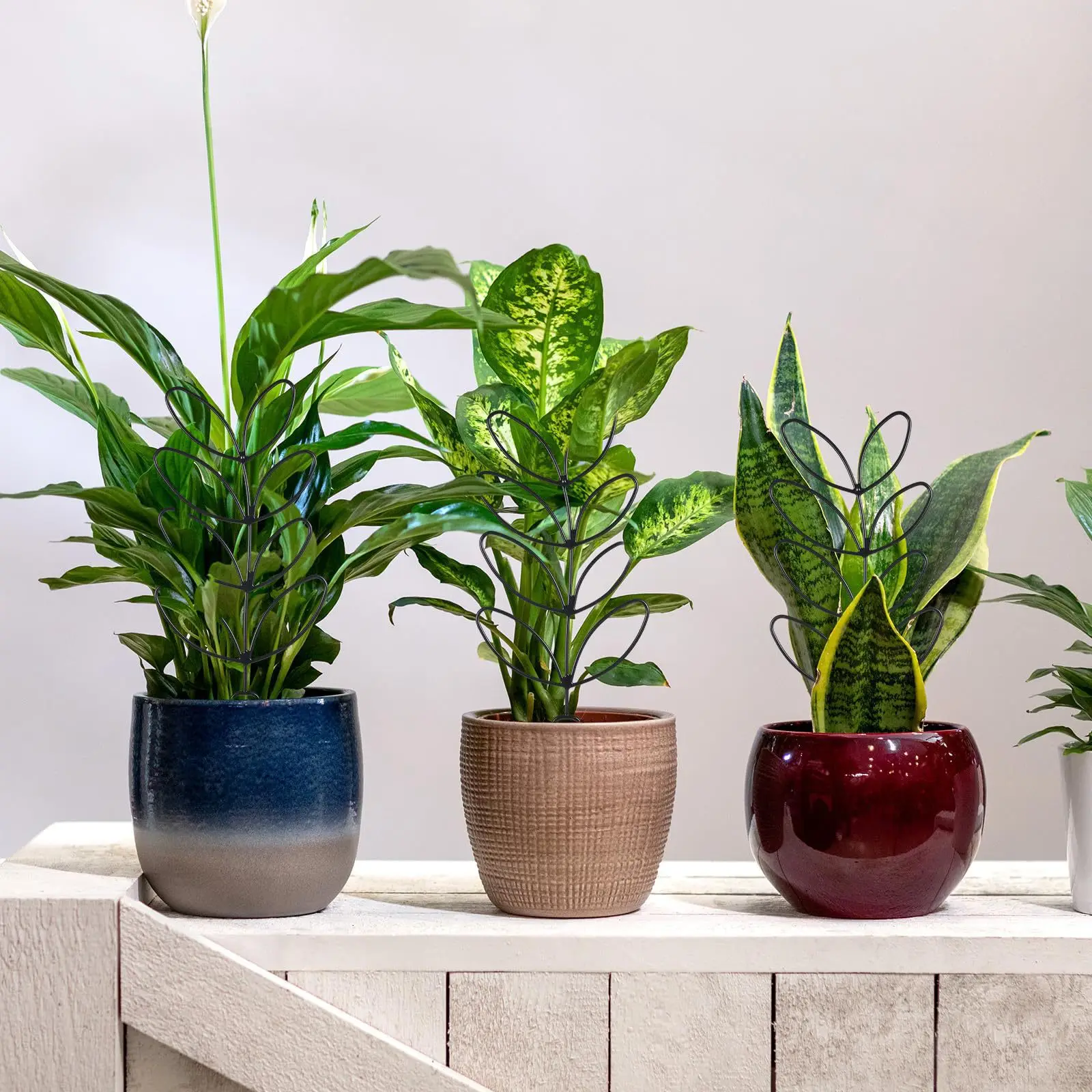 1 unidad de soporte para plantas con diseño de panal de abeja, soporte de plástico inoxidable para plantas en maceta y flores, marco de escalada para jardín interior y exterior