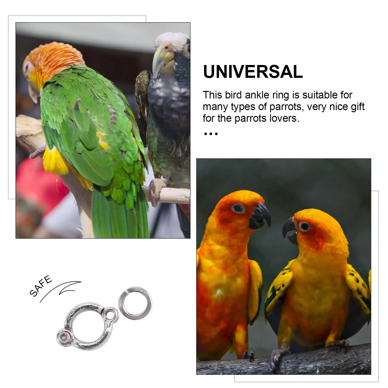 

6Pcs Stainless Steel Parrot Leg Rings Rust Resistant Bird Foot Clips Small Lightweight Parrot Flight Training Accessories