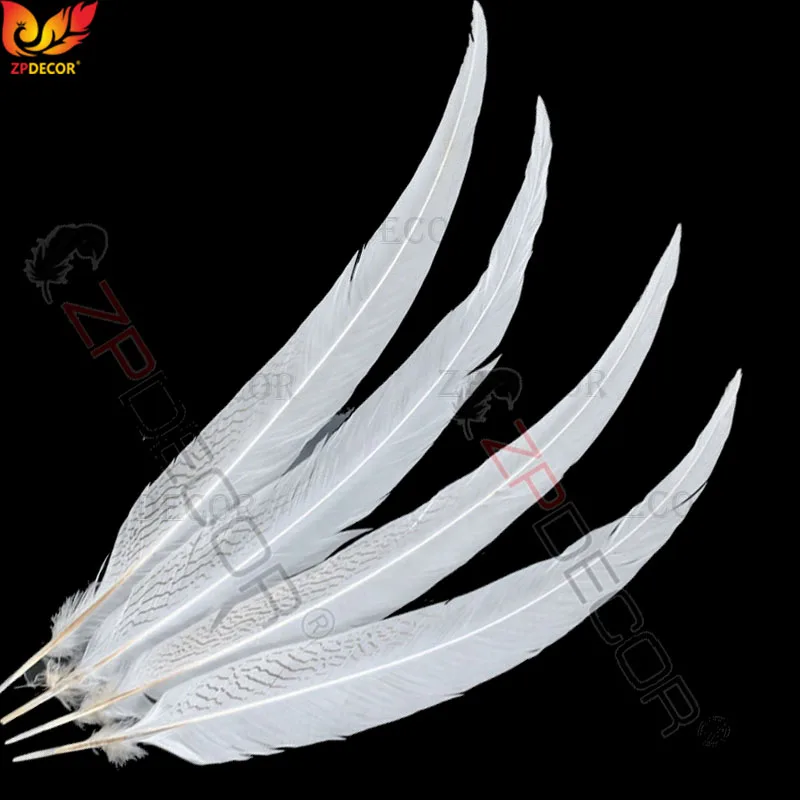 

ZPDECOR Rare Silver Pheasant Tail Feathers Custom Color 60-65 cm 24-26 Inch for Carnival