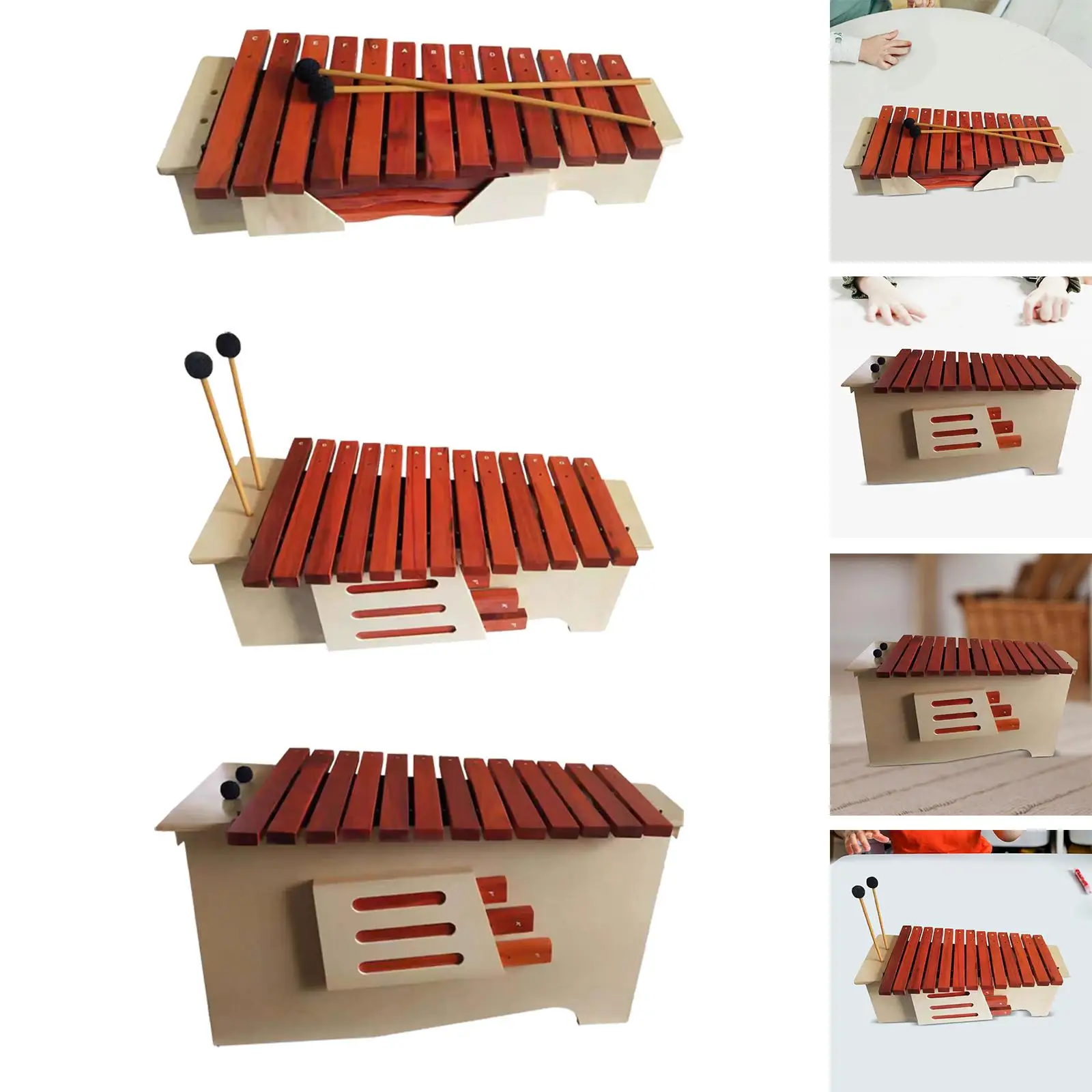 

13 Note Glockenspiel Coordination Fine Motor Skill Percussion Instrument for Music Lessons Event Live Performance Home Concert