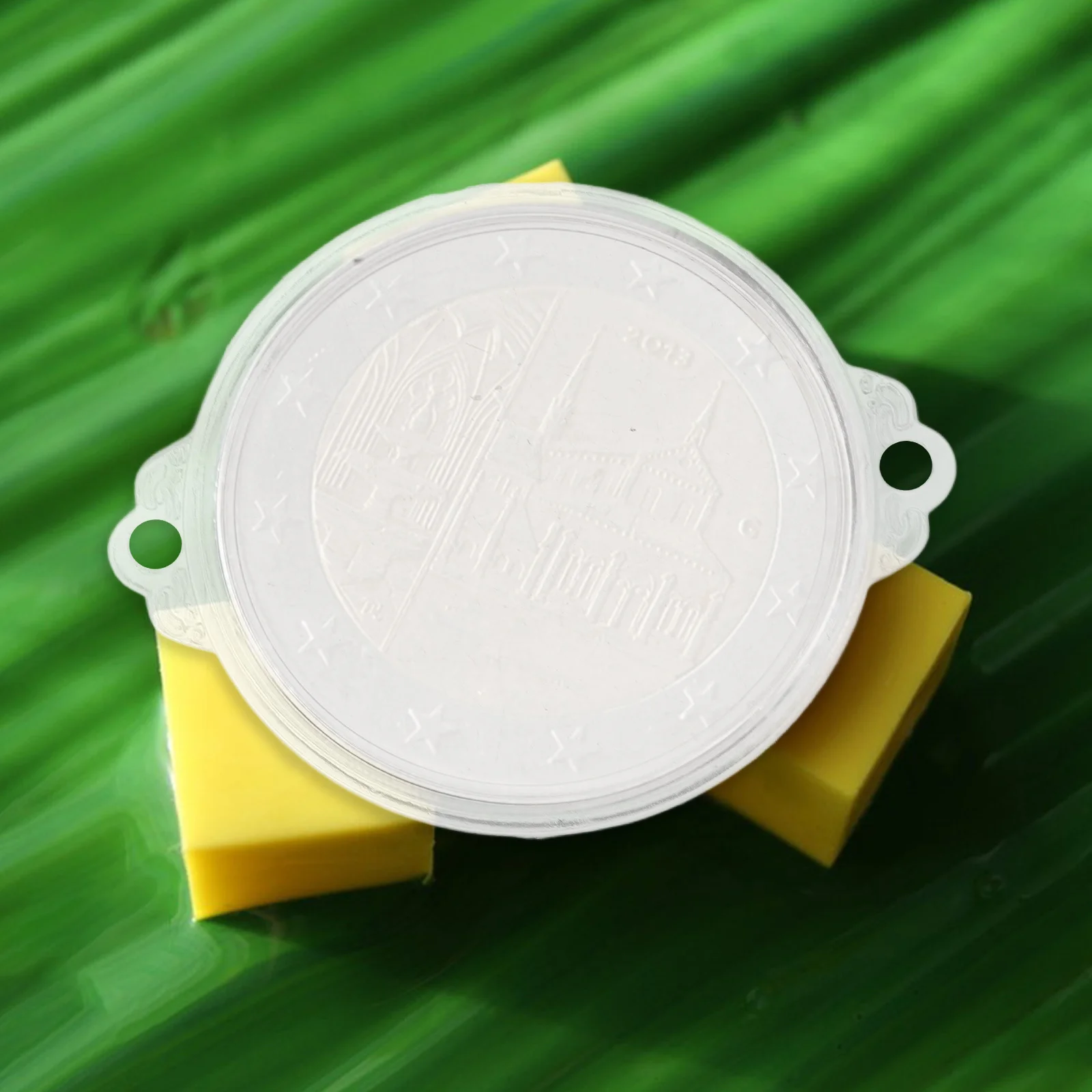 12 قطعة صندوق تخزين كبسولات عرض العملات المعدنية الشفافة للعملات المعدنية وحامل الميدالية الفضية البلاستيكية مع شماعات الأذن متعددة الاستخدامات