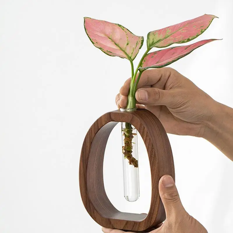 Florero de tubo de ensayo con soporte de madera, contenedor de vidrio hidropónico para interiores, decoración de oficina y hogar, planta acuática