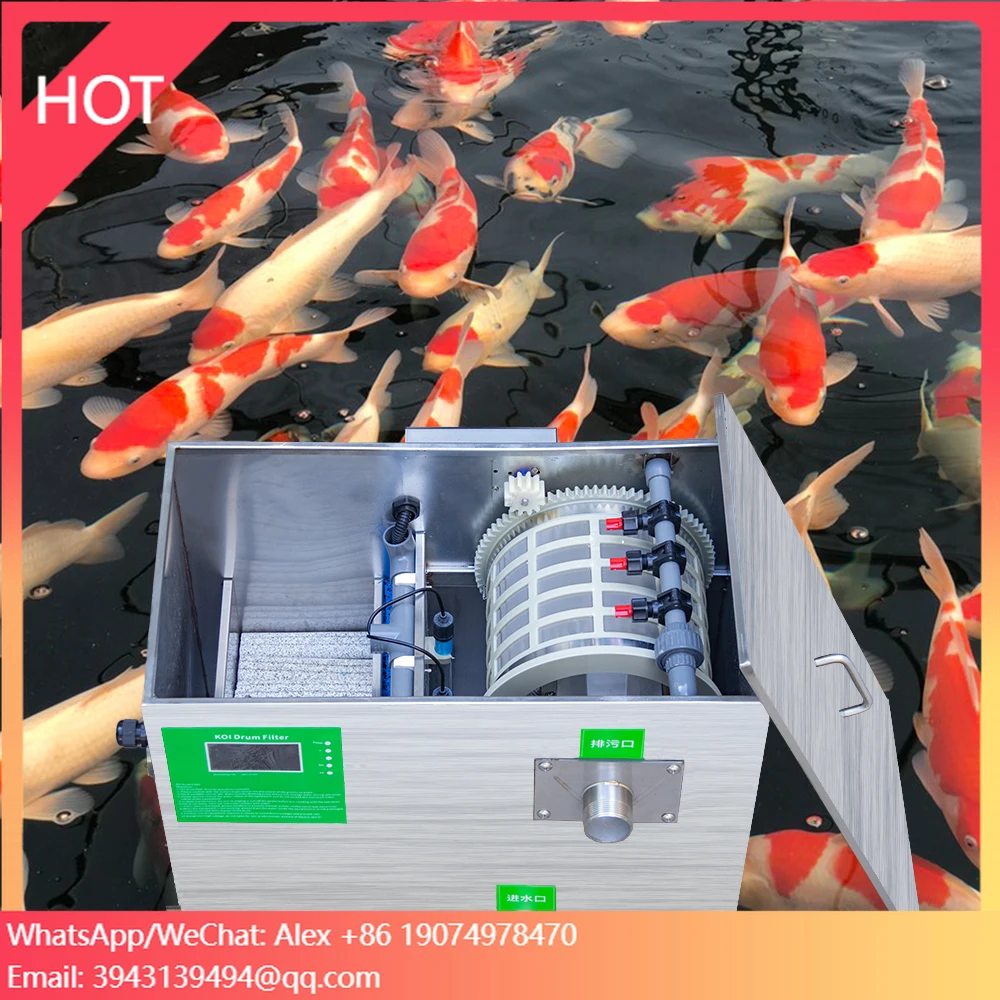 Qlozone Stainless S…